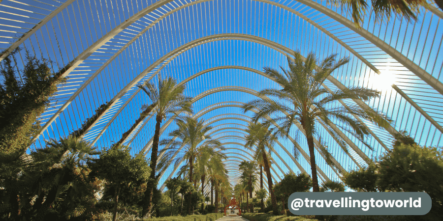 Photo of the Umbracle in Valencia at the City of Arts and Sciences