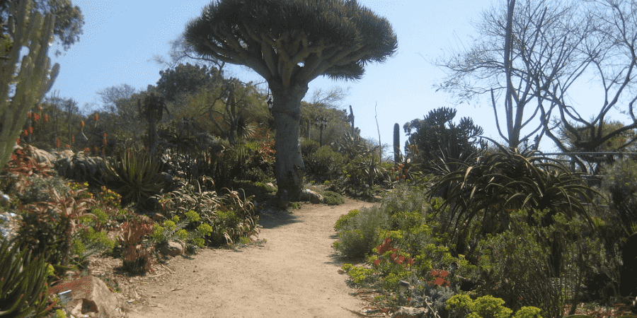 San Diego Botanic Garden