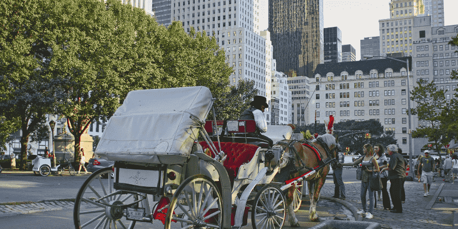 Carriage Ride