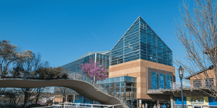 Tennessee Aquarium in Chattanooga